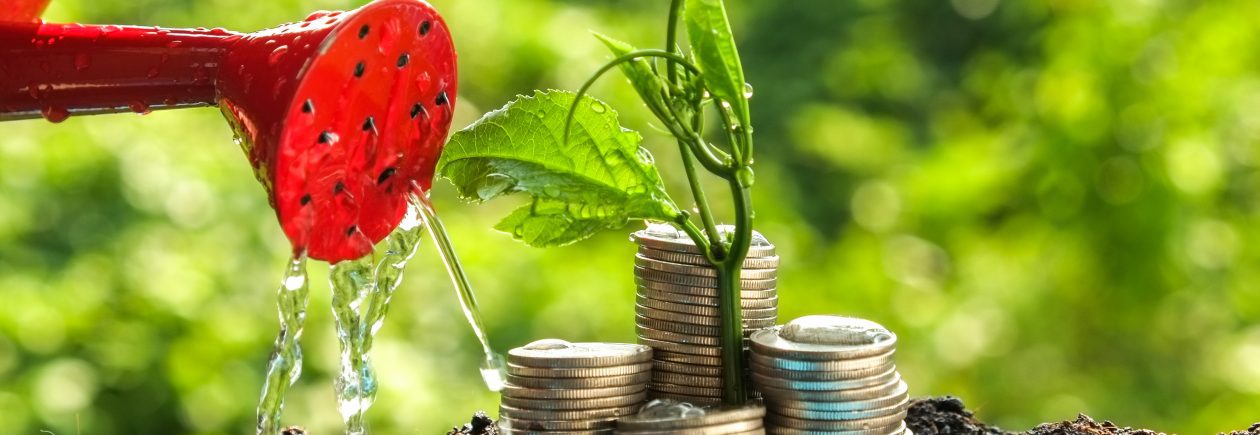 Watering can watering coins