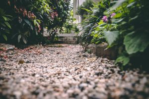 clean pathways