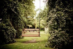 Swing in a garden