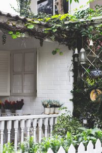 Tall plants to improve privacy in garden
